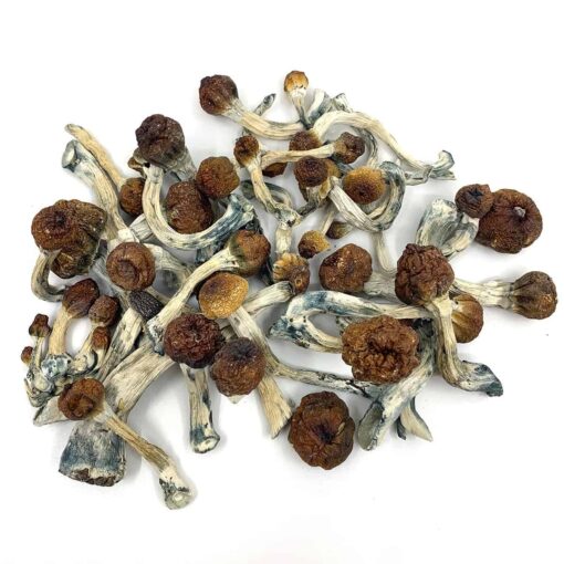 http://easypsychedelic.com/product/buy-magic-mushrooms-online/